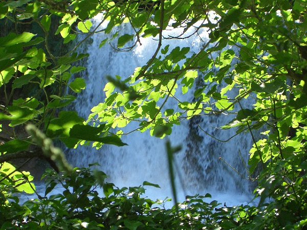 Bltter vor Wasserfall